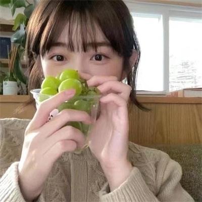 高朋满座粤语